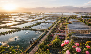 Desafío de  China:  convierte el desierto en piscifactorías y jardines