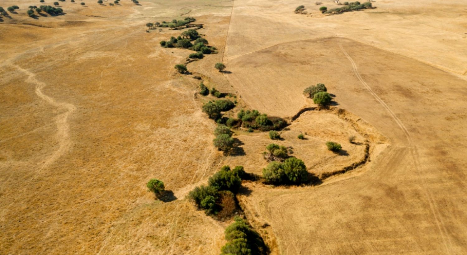 Agronauts: la granja autónoma que prepara a la humanidad para sobrevivir en Marte… y en los desiertos terrestres