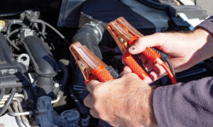 Acoplamiento rápido aplicable a bornes de baterías