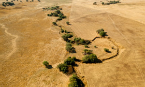 Agronauts: la granja autónoma que prepara a la humanidad para sobrevivir en Marte… y en los desiertos terrestres