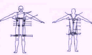 Arnés lumbar