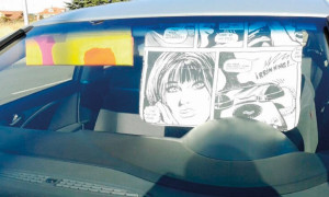 Cortina para vehículos