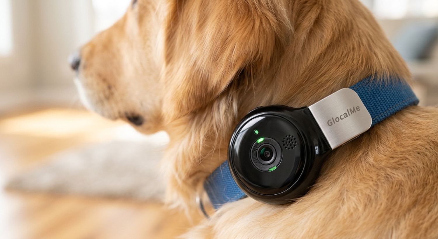 Smartphone para perros y gatos: el PetPhone C-Plus Suite lleva la monitorización animal a un nuevo nivel