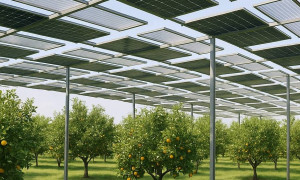 Innovación agrovoltaica: un sistema que permite cultivar  la tierra y generar  energía