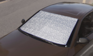 Protector de luna o cristal para coches en climas adversos 