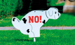 Dispositivo para recoger las heces de un animal doméstico durante la deposición